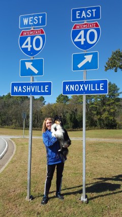 Pick a path. Take a roadtrip.