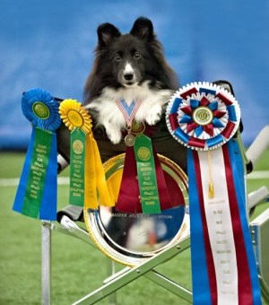 Kazee Marie Patterson