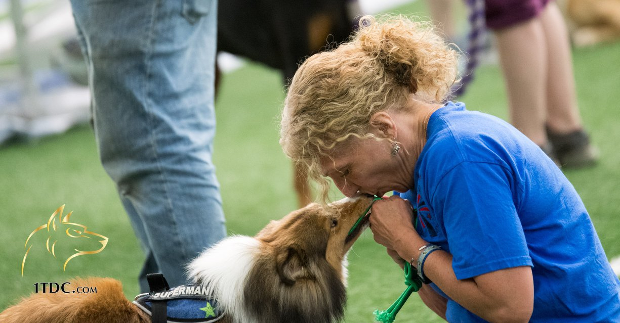 Woman kissing a dog on the nose.